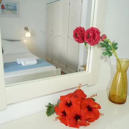 Playera Holiday home