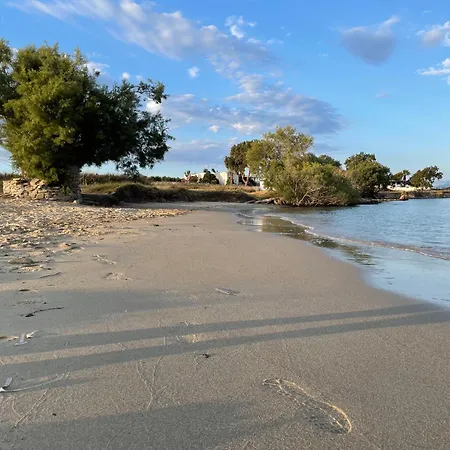 Playera Holiday home *