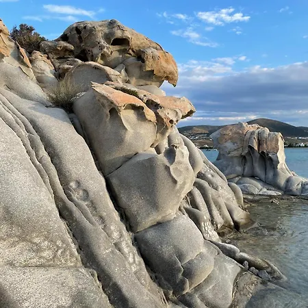 Playera Holiday home