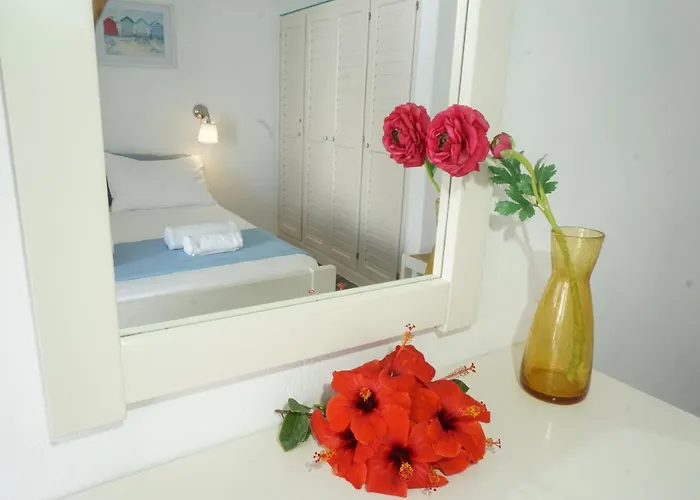 Playera Holiday home