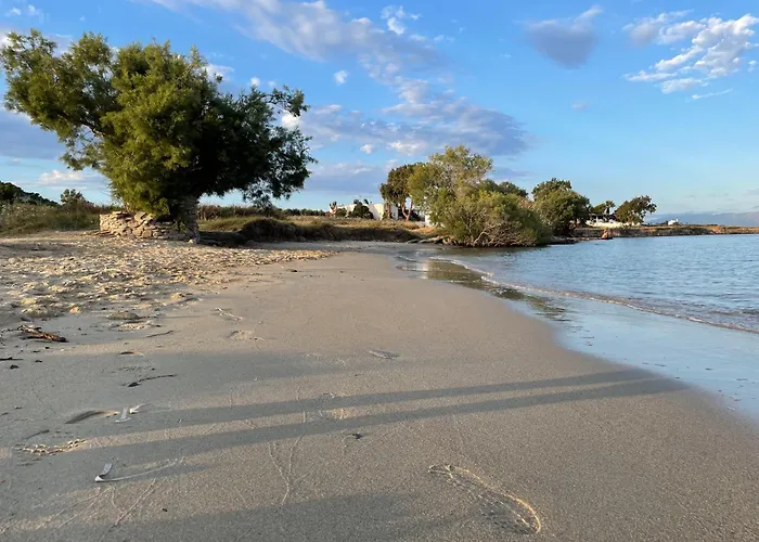 Playera Holiday home *